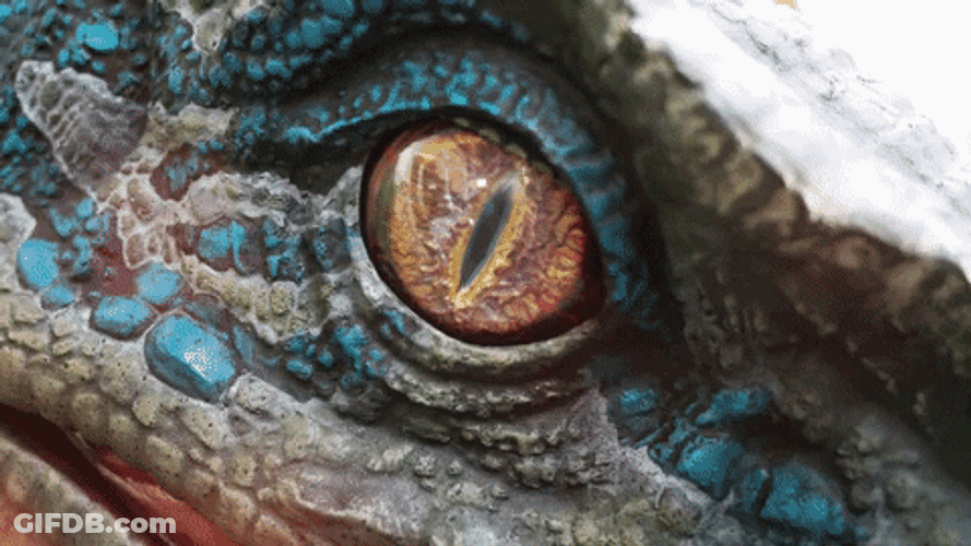 Velociraptor Contribution To Evolution GIF