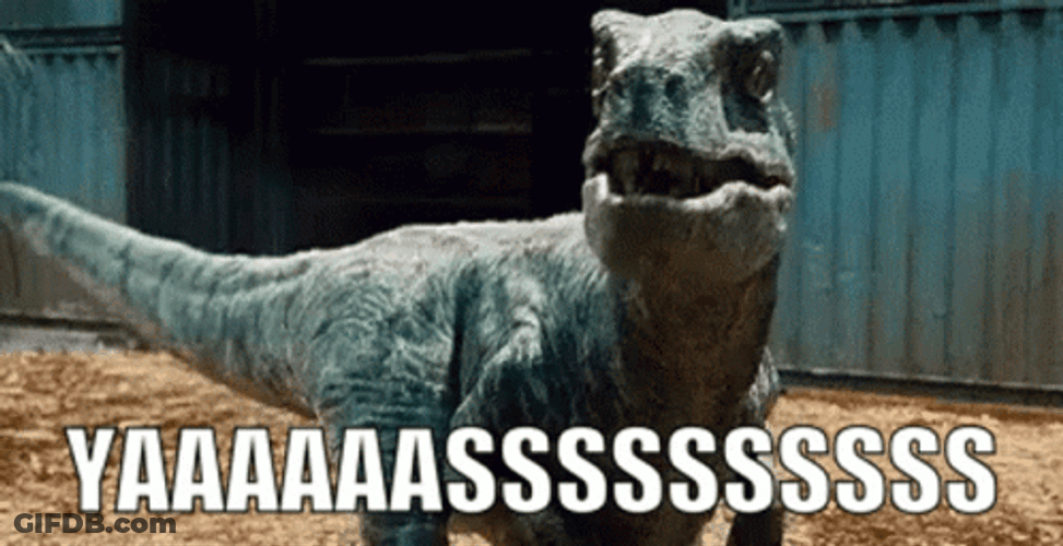 Velociraptor Dinosaur Yas GIF