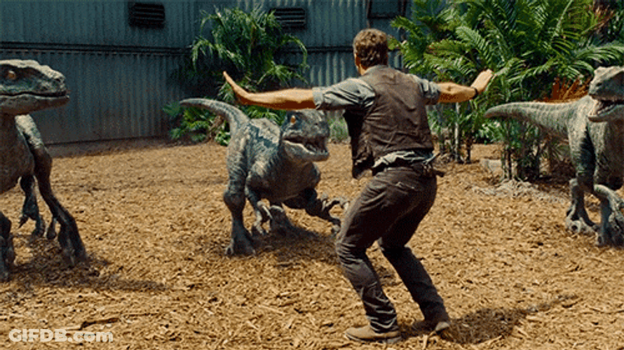 Velociraptors With Owen GIF