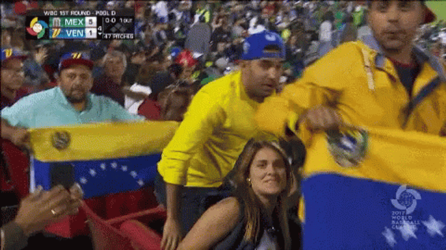 Venezuela Flag Banner GIF