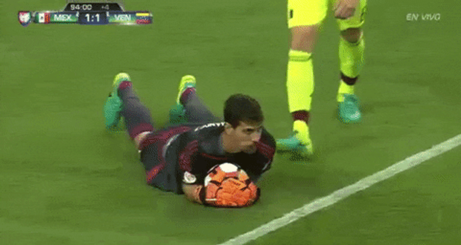 Venezuela Goal Keeper GIF