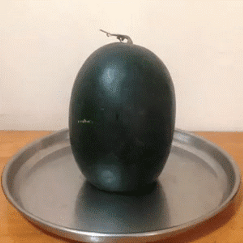 Venom Watermelon Funny Meme GIF