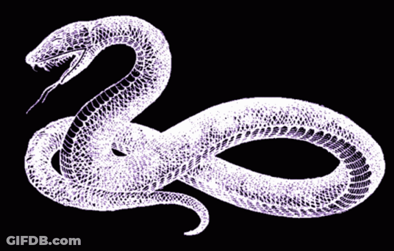 Venomous Snakes On A Plane GIF