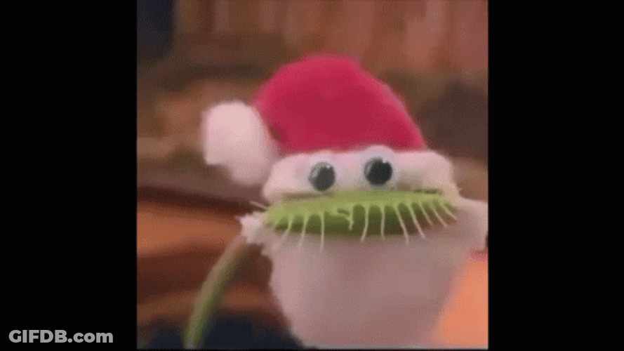 Venus Fly Trap As A Christmas Mascot GIF