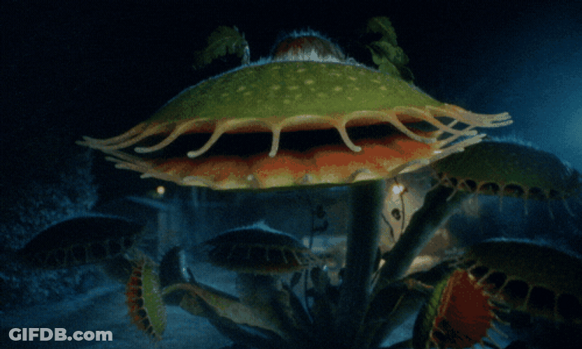 Venus Fly Trap Oh No GIF