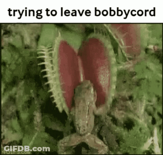 Venus Fly Trap Trying To Leave Bobbycord Meme GIF