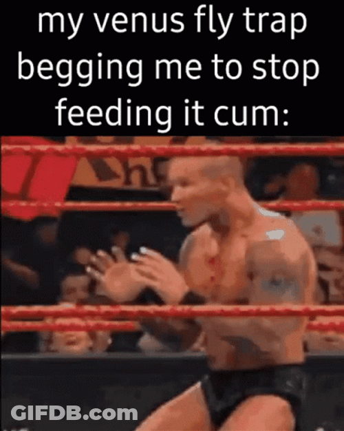 Venus Fly Trap WWE Meme GIF