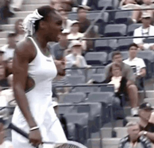 Venus Williams Grimace GIF