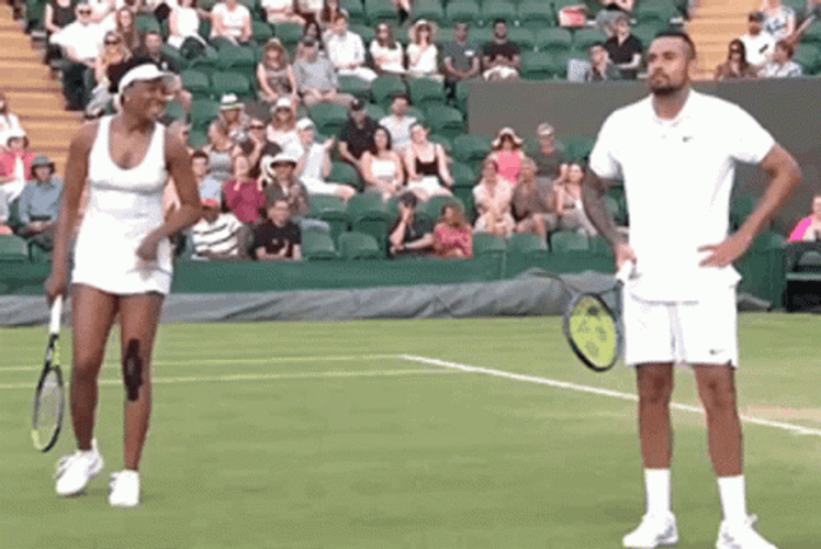 Venus Williams Laughing Nick Kyrgios GIF