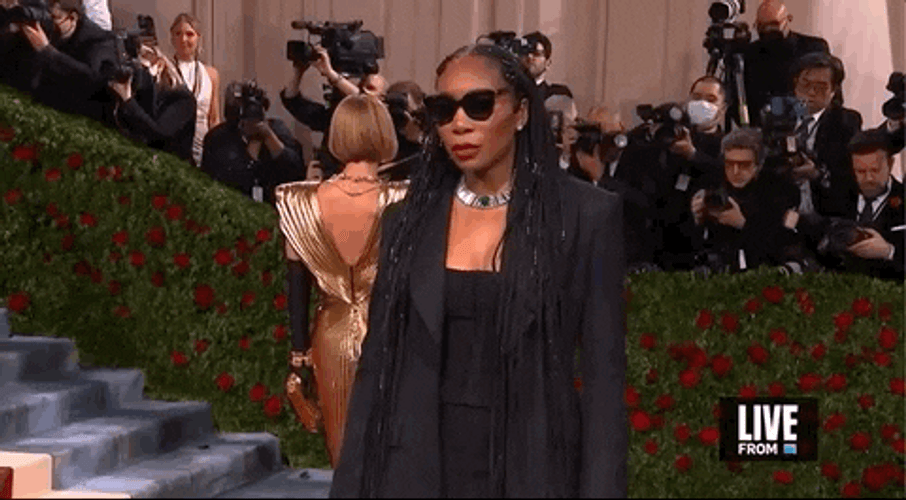 Venus Williams Met Gala GIF
