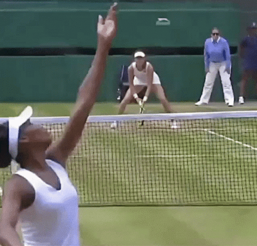Venus Williams Service Ace GIF