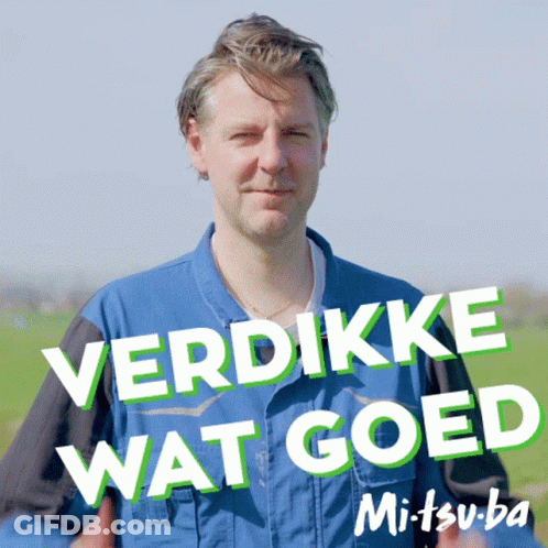 Verdikke Wat Goed Sign With Blue Shirt Man GIF