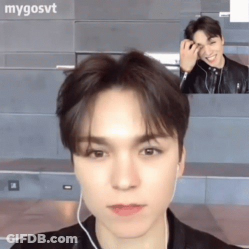 Vernon Svt GIF