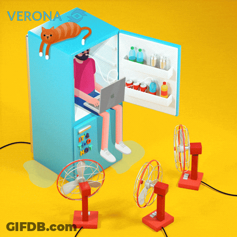 Verona Man Using Laptop In Fridge GIF