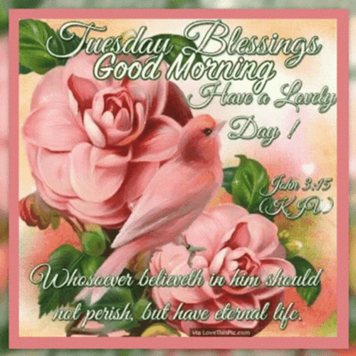 Verse Reminder Have A Blessed Tuesday GIF