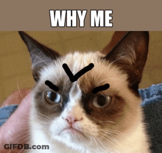 Very Angry Smurf Cat Meme GIF