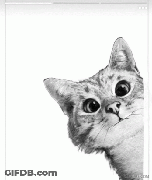 Very Good Cat Nice GIF
