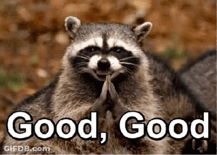Very Good Evil Raccoon GIF