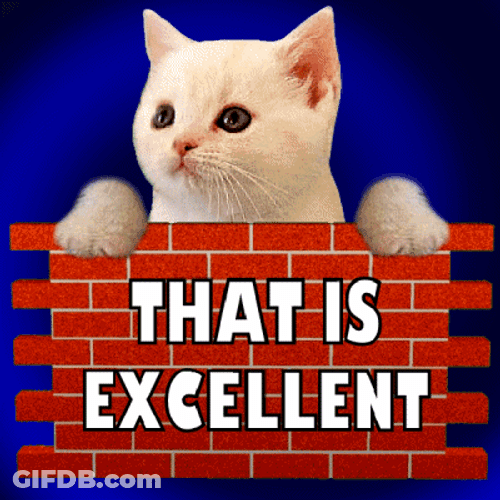 Very Good Excellent Cat GIF