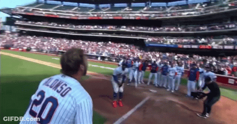 Very Happy Pete Alonso GIF