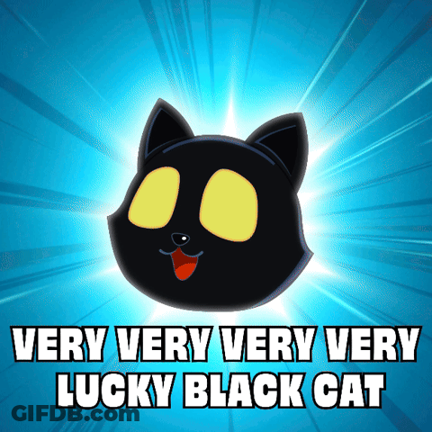 Very Lucky Black Cat Cartoon GIF