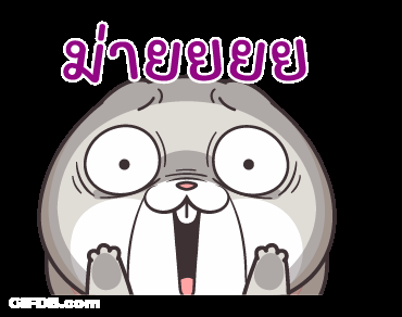 Very Miss Rabbit Oh What GIF