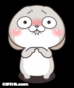 Very Miss Rabbit Please GIF