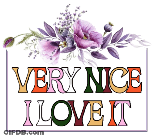 Very Nice I Love It Poster GIF