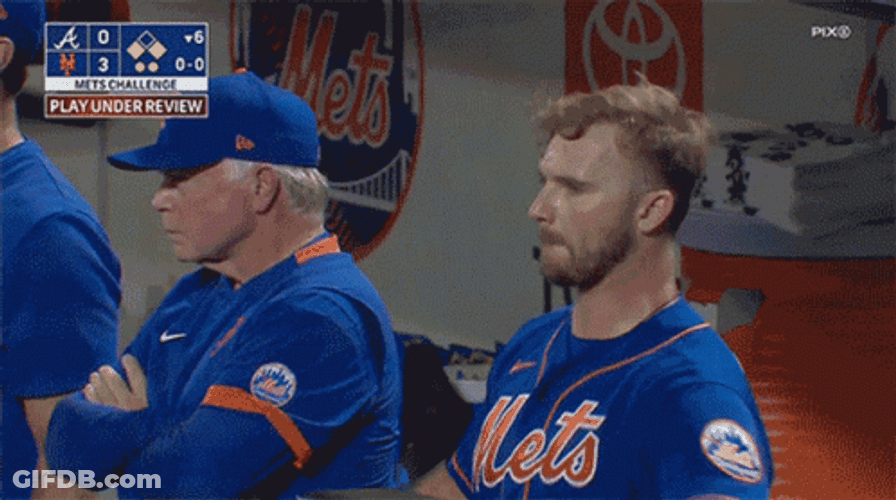 Very Proud Pete Alonso GIF