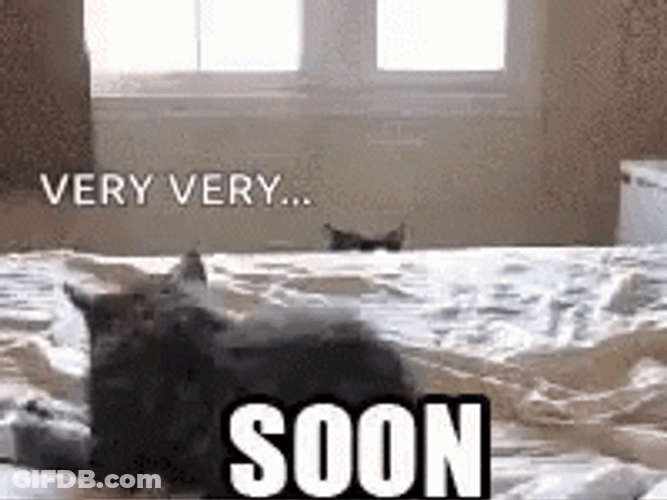 Very Soon Cat Peeking From Bedside GIF
