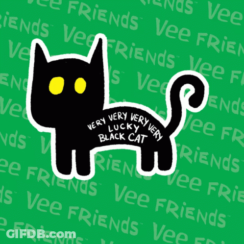 Very Very Lucky Very Black Cat GIF