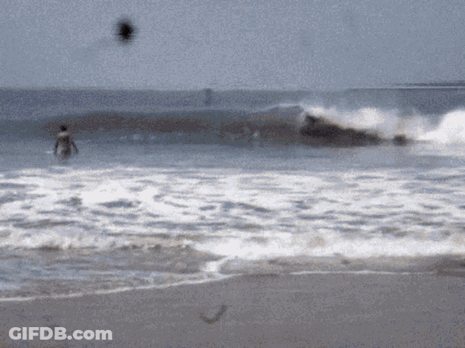 Ves Viviendoelsurf GIF