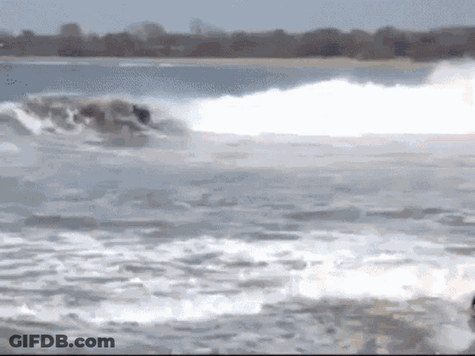 Ves Viviendoelsurf GIF