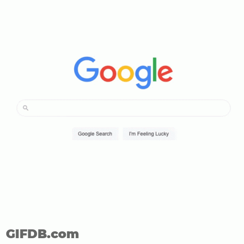 Vet Search Google Or Type A Url Meme GIF
