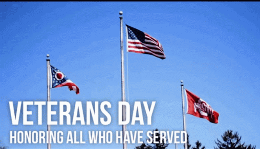 Veterans Day American Flags Country Duty Military GIF