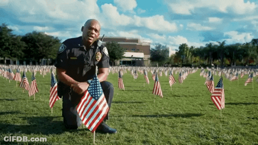 Veterans Day Army Navy American Flags Cemetery GIF
