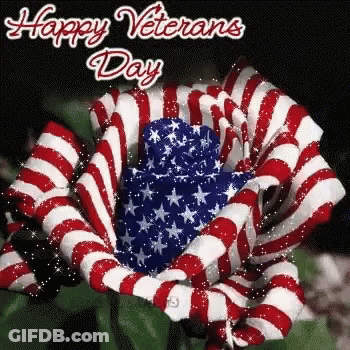 Veterans Day Card With American Flag Flower GIF