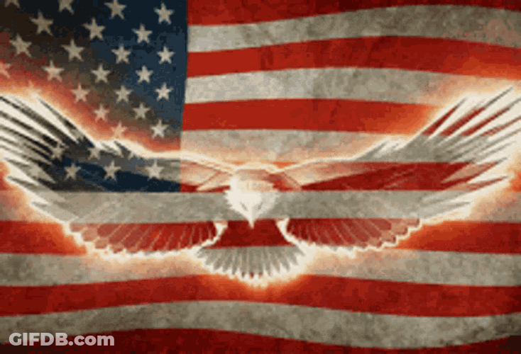 Veterans Day GIF