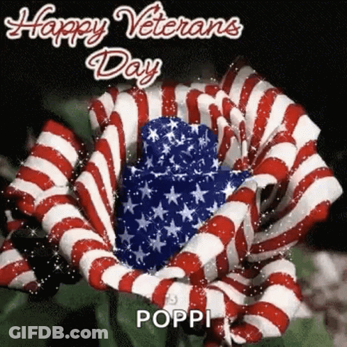Veterans Day Greeting Card With American Flag And Flower GIF