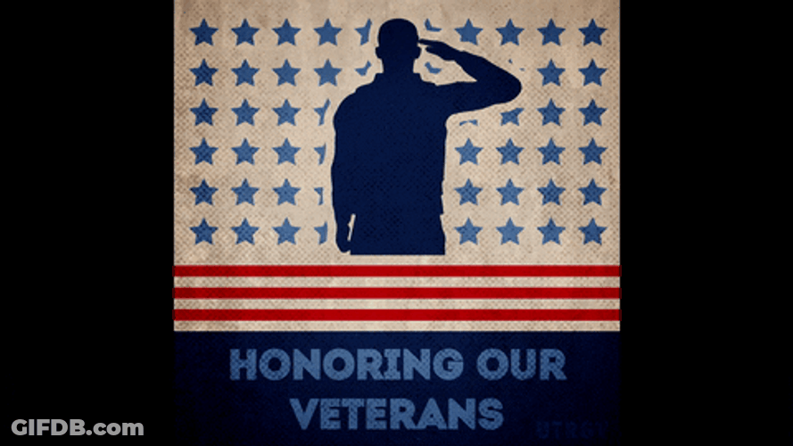 Veterans Day Honor Army Soldiers Salute Stars GIF