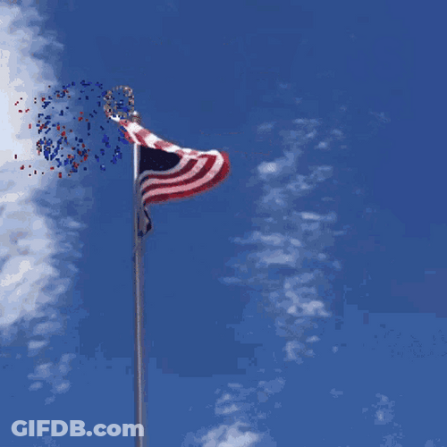 Veterans Day Honoring Service United States Flag Fireworks GIF