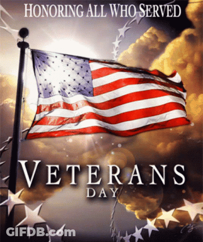 Veterans Day Poster American Flag Stars GIF
