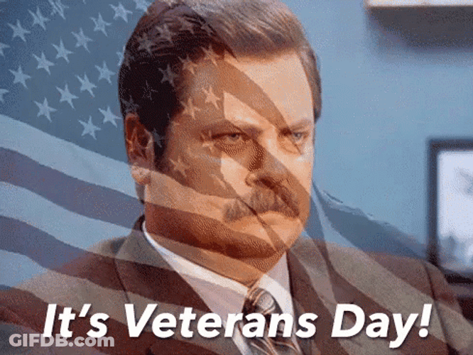 Veterans Day Remembrance American Flag Ron Swanson GIF