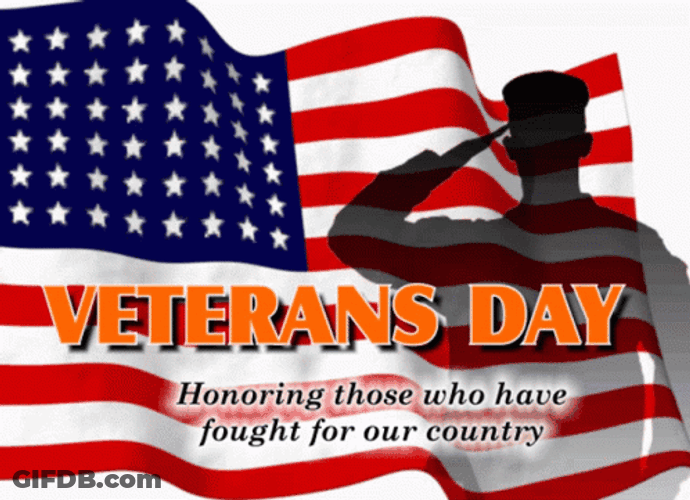 Veterans Day Soldier Shadow Salute Honor Respect Flag GIF