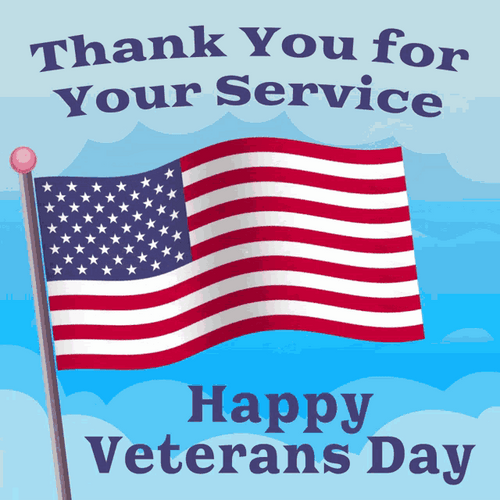 Veterans Day Thank You Service American Flag GIF
