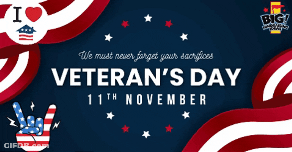 Veterans Day United States Armed Forces Tribute GIF