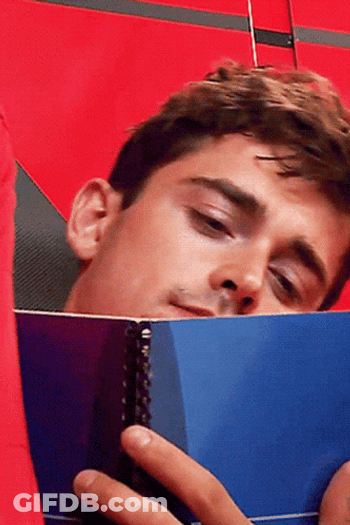 Vettel Leclerc Collision Blue Notebook GIF