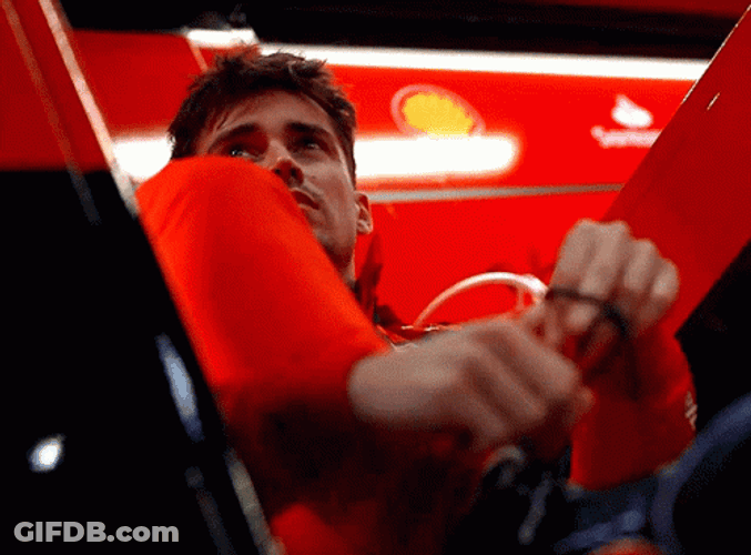 Vettel Leclerc Collision Charles Before The Race GIF