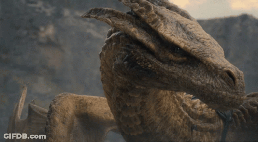 Vhagar Dragon Shaking Its Head GIF