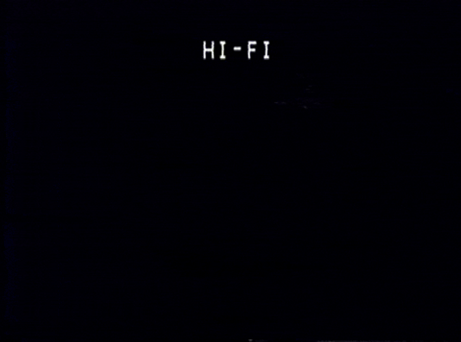 Vhs Effect Forest At Night GIF